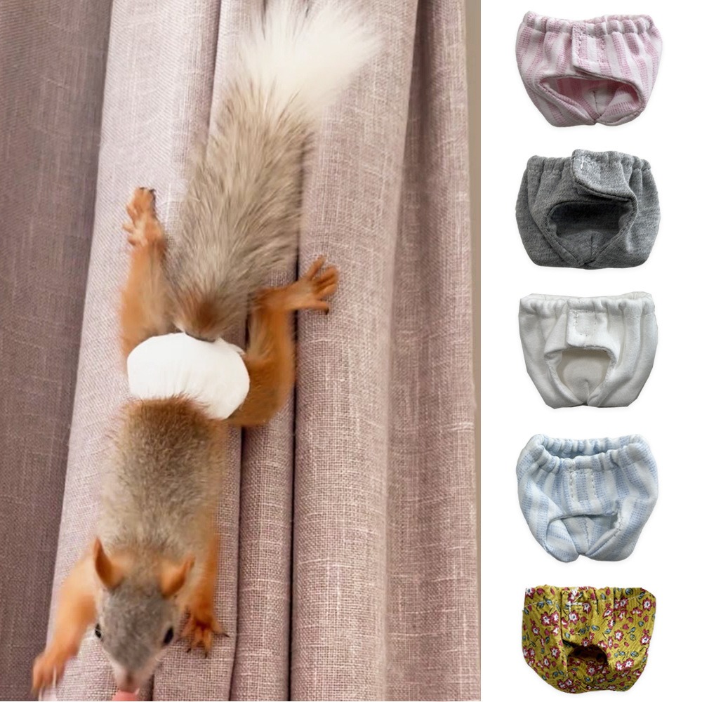 Впитывающие подгузники для бел – обзор и цена Period Panty Absorbent